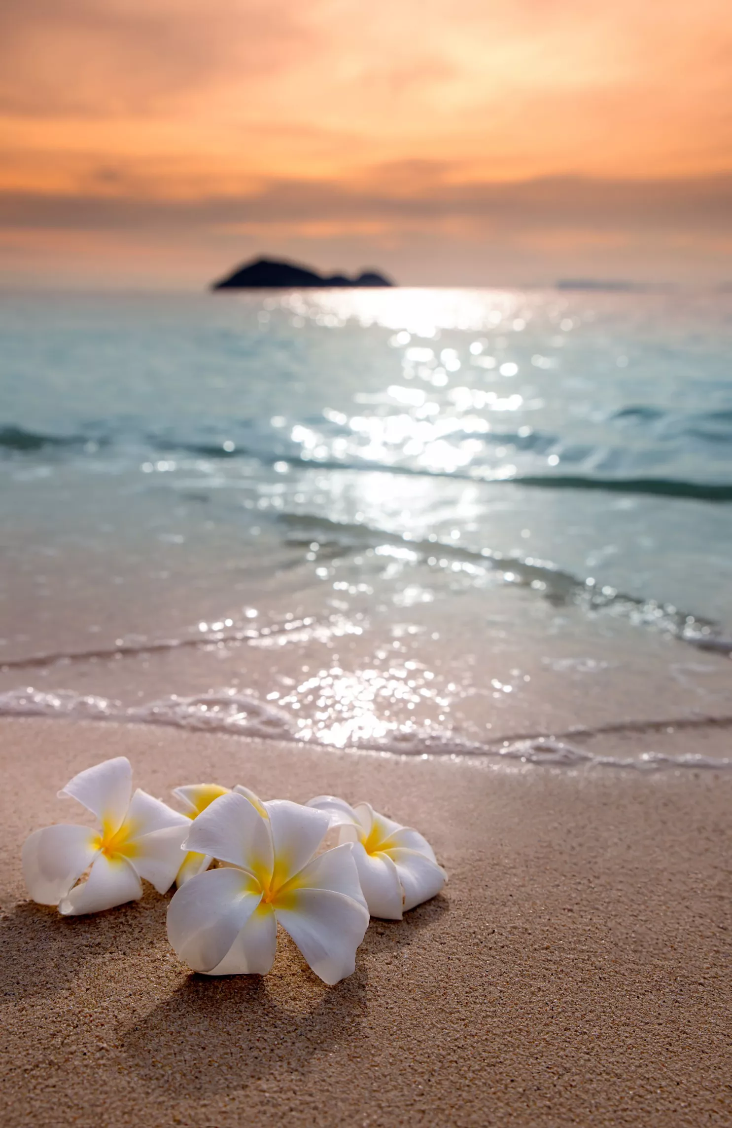 hintergrund-hawaii